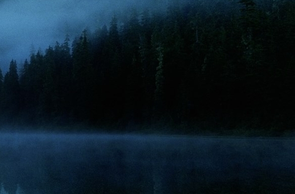 粉象生活靠什么盈利