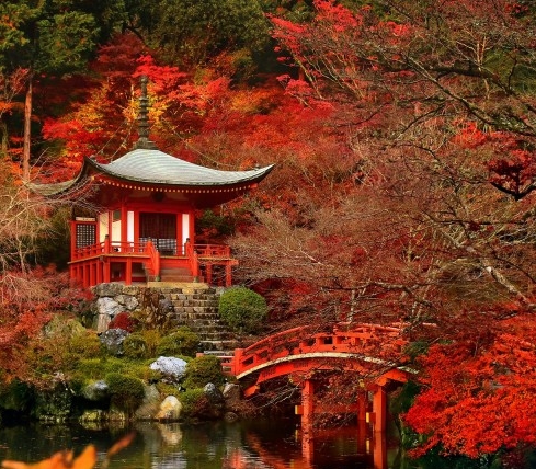 粉象生活