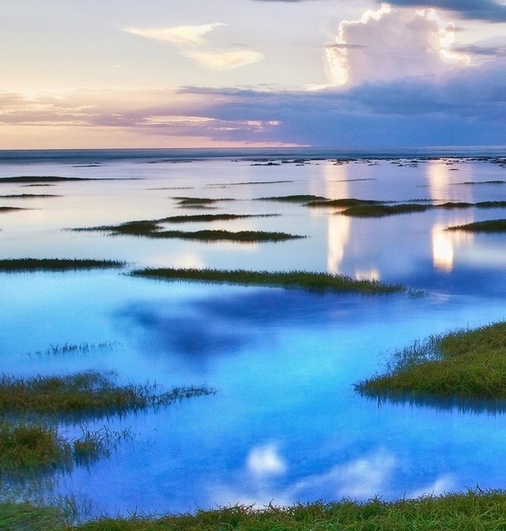 粉象生活是怎么赚钱的