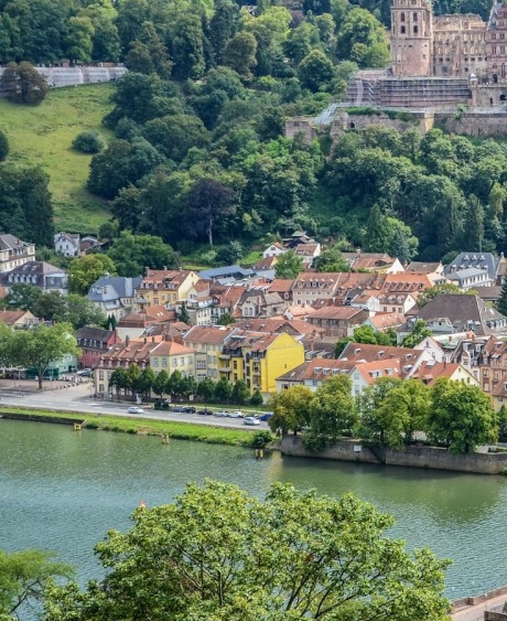 粉象生活可以买什么东西