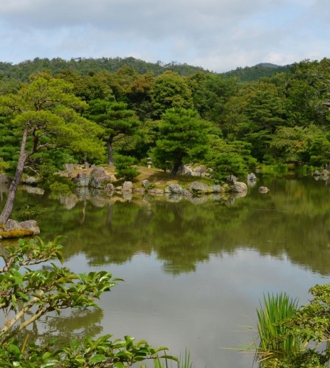 粉象生活