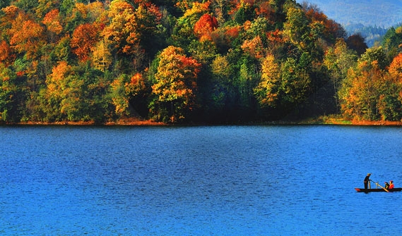 粉象生活下载量是多少