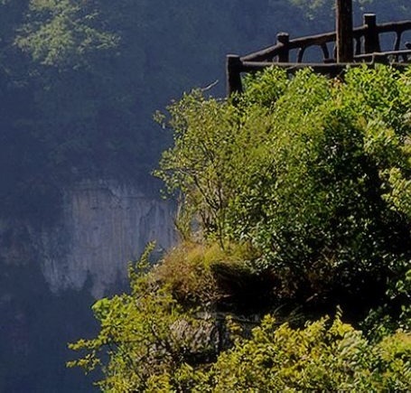 广东分享粉象生活推广