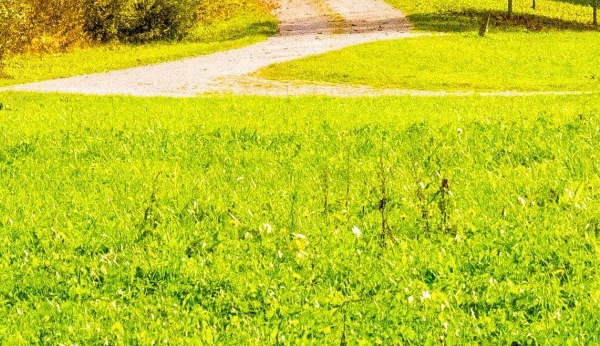 粉象生活邀请码怎样登录