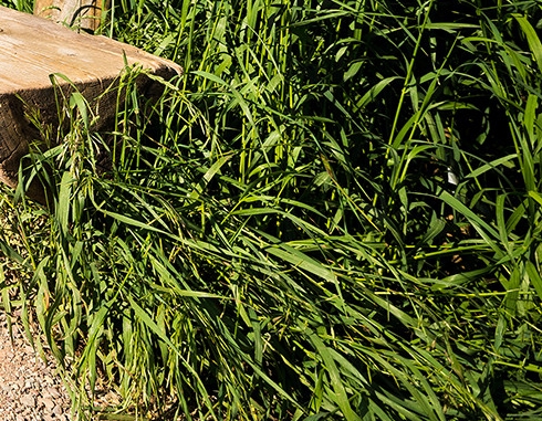 新手粉象生活怎么赚钱