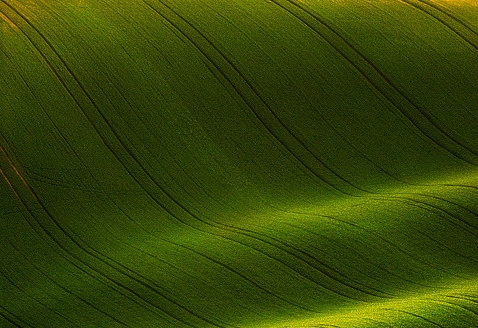 反馈是上下级还是平级