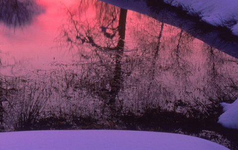 菏泽粉象生活代理联系方式