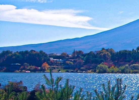 粉象生活是怎么赚钱的