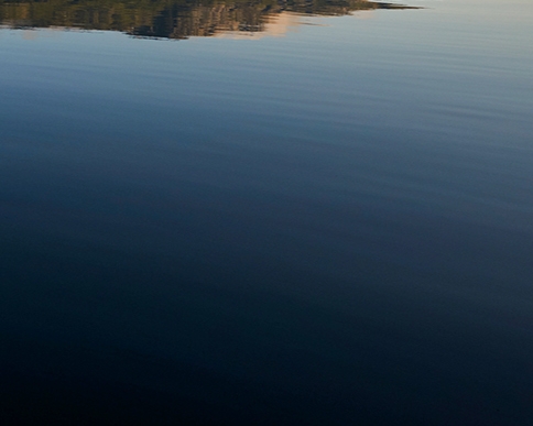 粉象生活怎么分享给别人