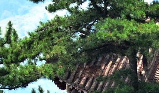 粉象生活上的好货怎么样