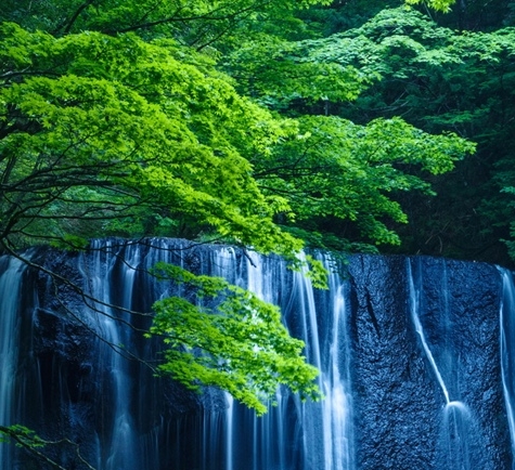 粉象生活可以赚钱吗