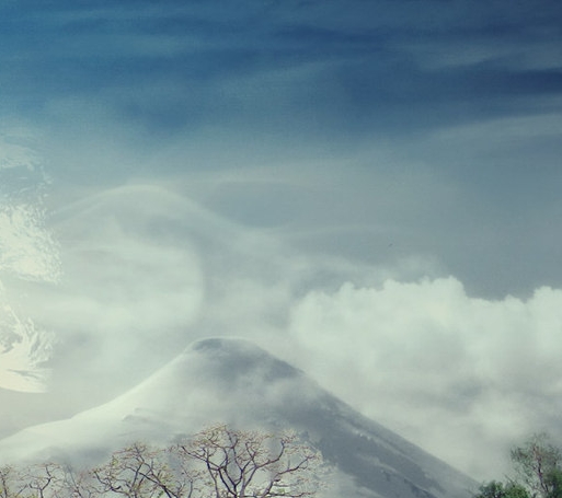 粉象生活邀请码