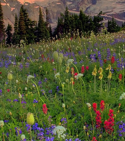 如何利用粉象生活挣钱