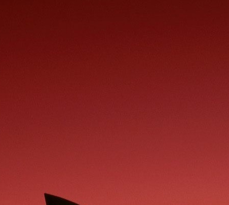 粉象生活红包0元购在哪里