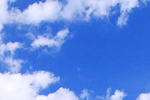 粉象生活新手怎么做