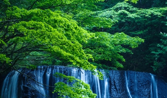 粉象生活折扣