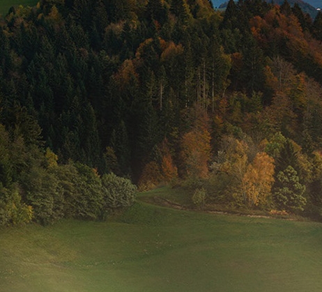 麦克斯的生活简单介绍