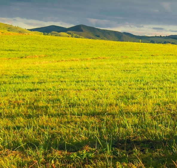 粉象生活粉象天天乐中奖