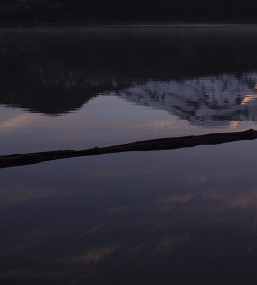 粉象生活如何赚钱