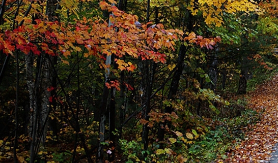 爱生活怎么做代理