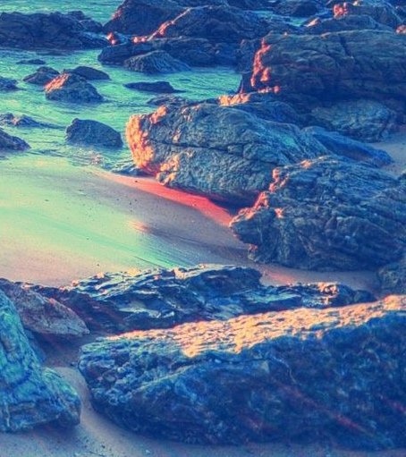 粉象生活下载app