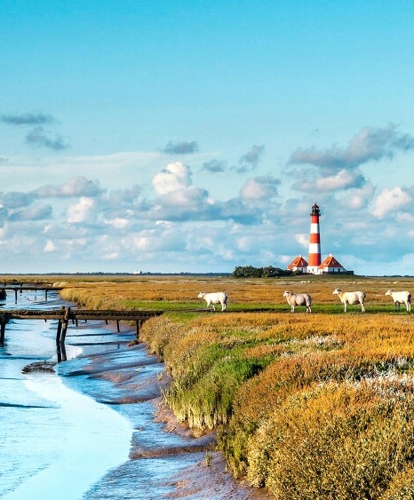 粉象生活运营主体