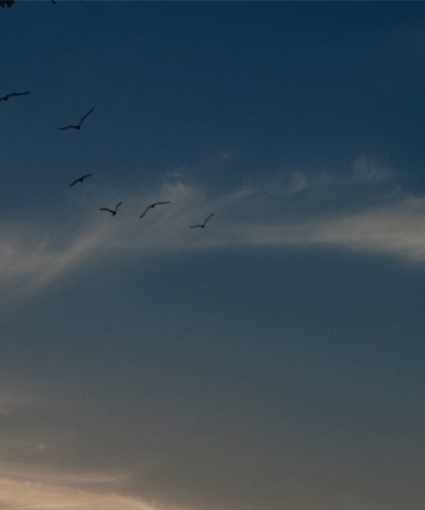 粉象生活返利怎么操作