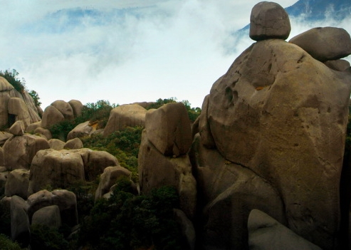 粉象生活淘宝怎么注册