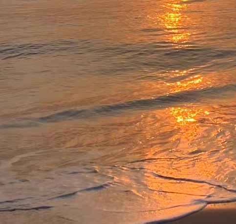 粉象生活开通会员有什么用