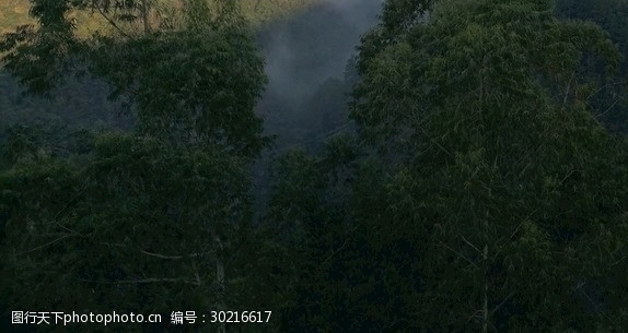 粉象生活赚钱图