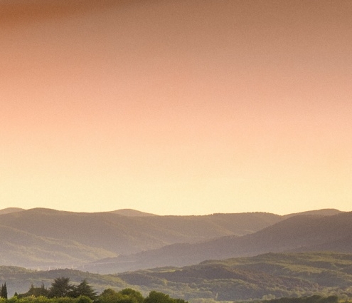 辽宁加盟粉象生活怎么赚钱