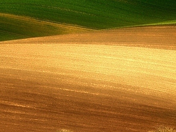 金昌市钟点服务加盟