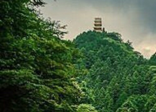 粉象生活团队提成多少