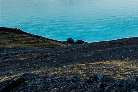 粉象生活邀请码