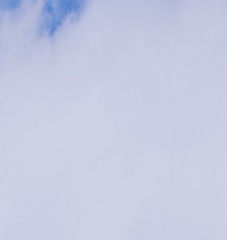 粉象生活发展下级