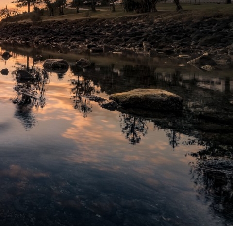 粉象生活为啥有优惠券