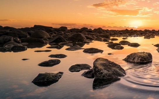 粉象生活是正规平台吗