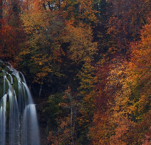 粉象生活链接转换