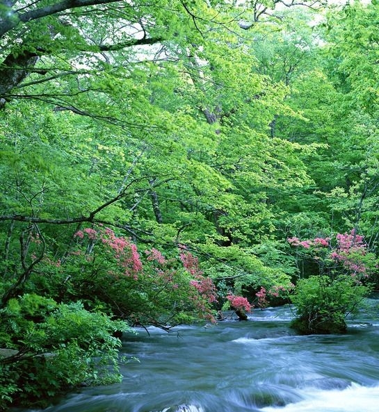 粉象生活收藏在哪里