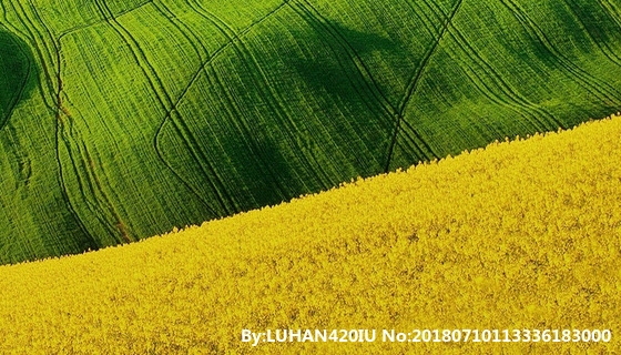 删除粉象生活