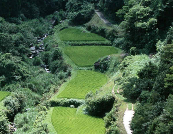 粉象生活怎样解除绑定