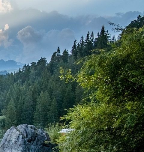 粉象生活有几个版本