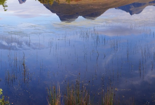 粉象生活是真的假的