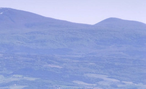 粉象生活送的卡怎么领