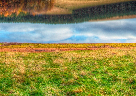 最新版粉象生活app下载安装