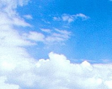 粉象生活介绍