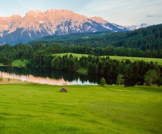 粉象邀请码怎么出来的