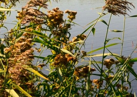 粉象生活公司排名