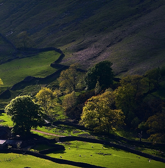 粉象生活必须要买会员吗