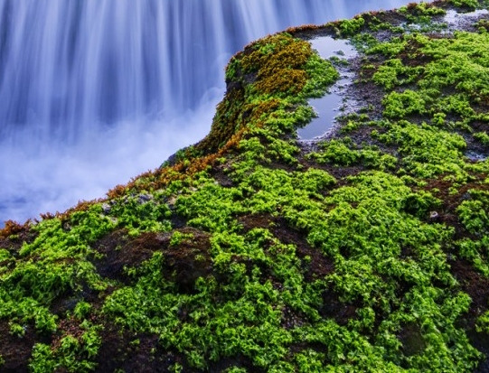 粉象邀请id怎么填写
